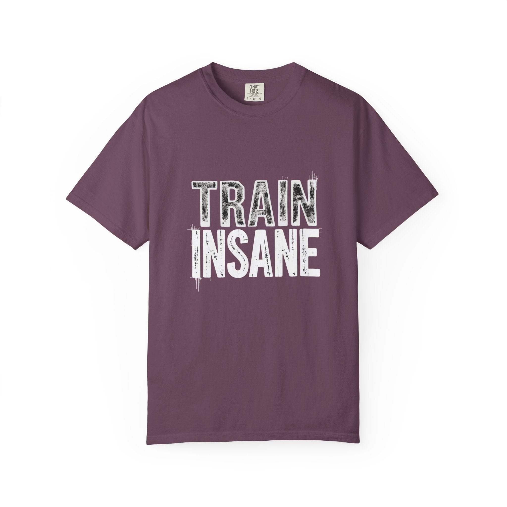 Train Insane T-Shirt — Motivational Gym Workout Tee